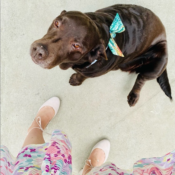 Meet your Posher, Kami - Picture 5 of 8